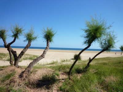 un petit air d'Afrique